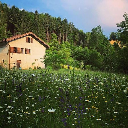 Alla Casetta B&B Cesiomaggiore Екстер'єр фото