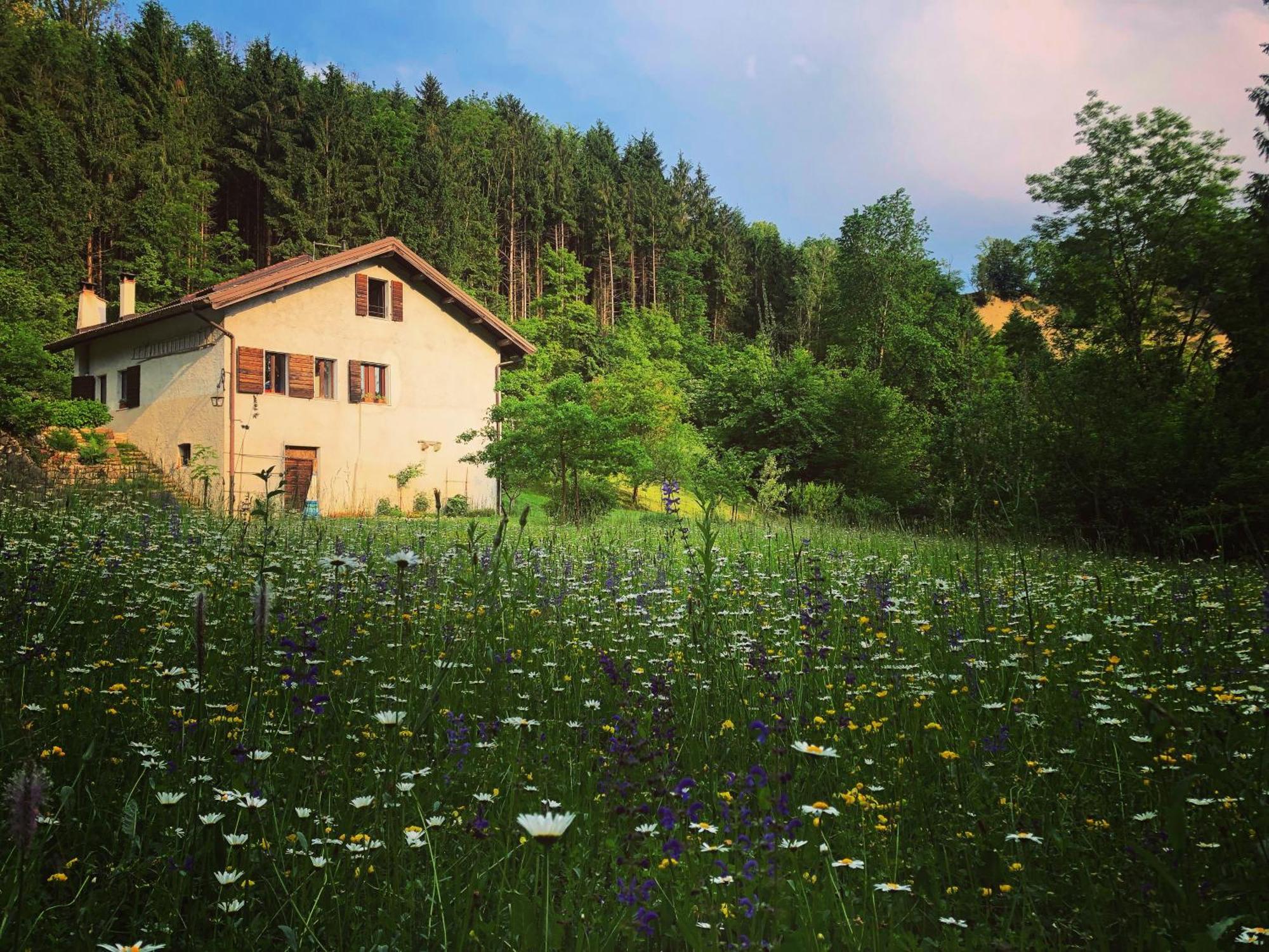 Alla Casetta B&B Cesiomaggiore Екстер'єр фото